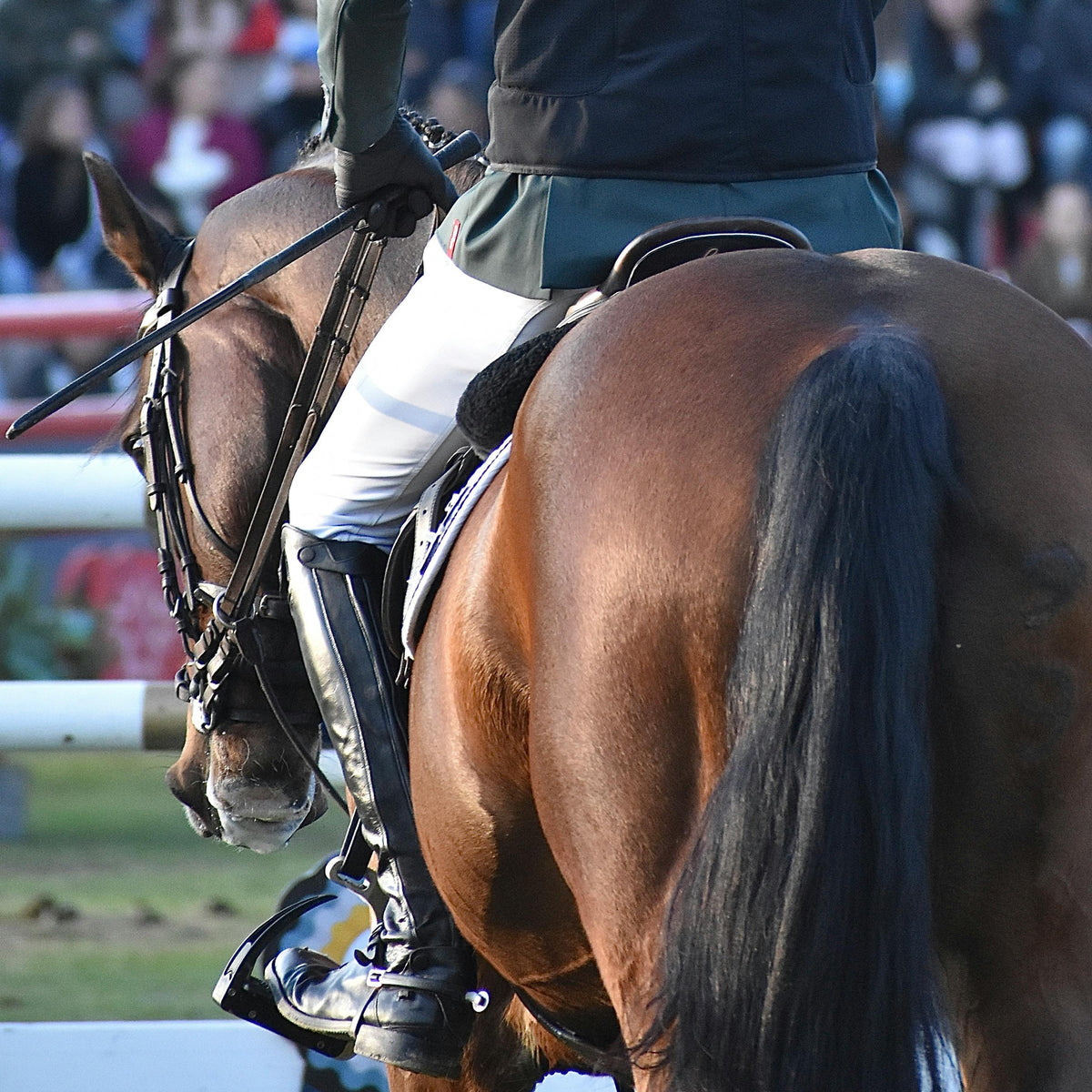 Five Horses with the Most Iconic Tails in Equestrian History