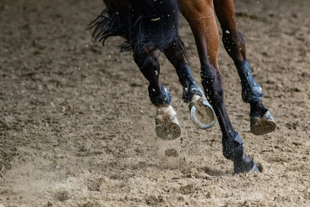 Charlotte Fry and Glamourdale Light Up Aachen with Double World Gold