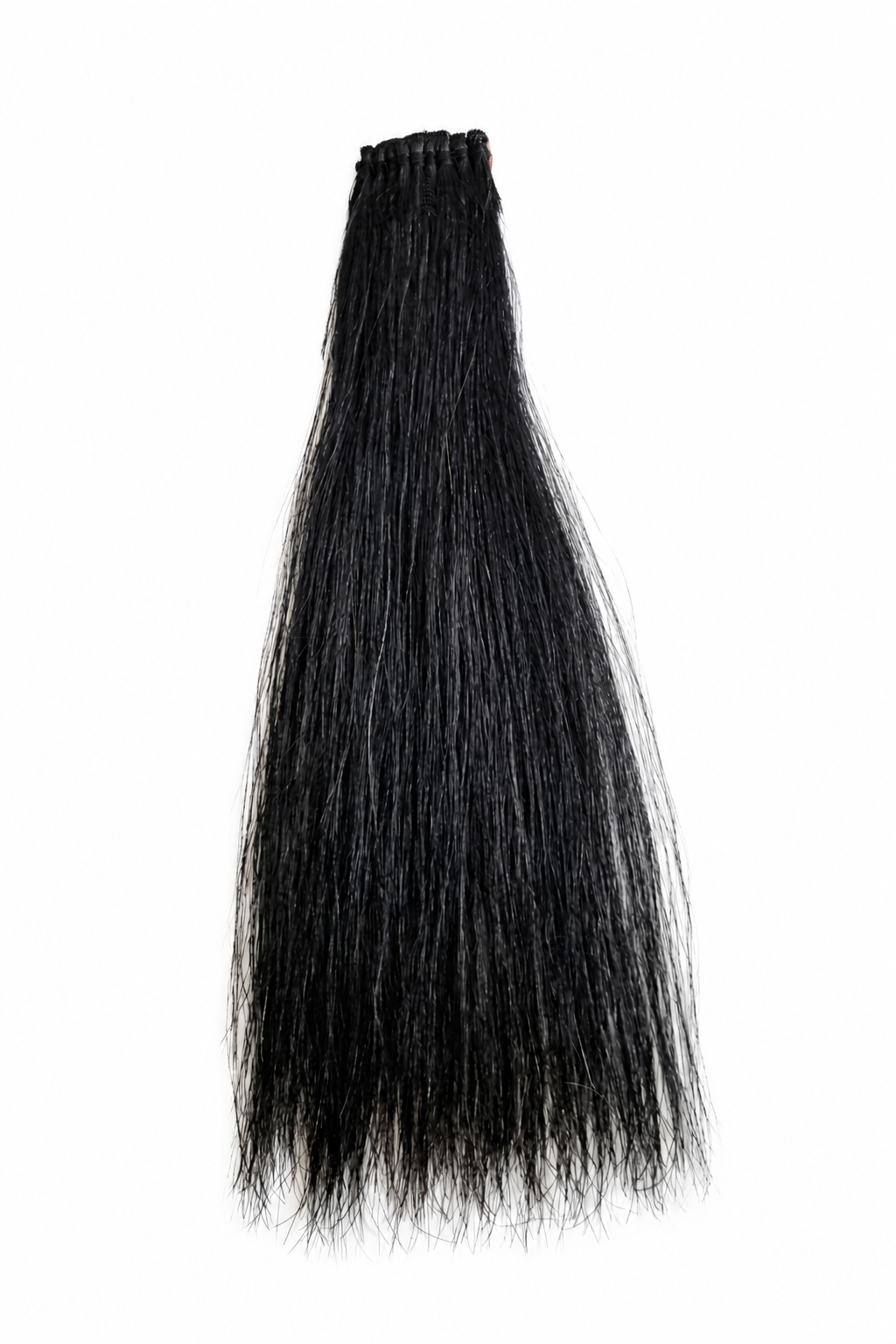 Horse Forelock Extension by Equine Tails
