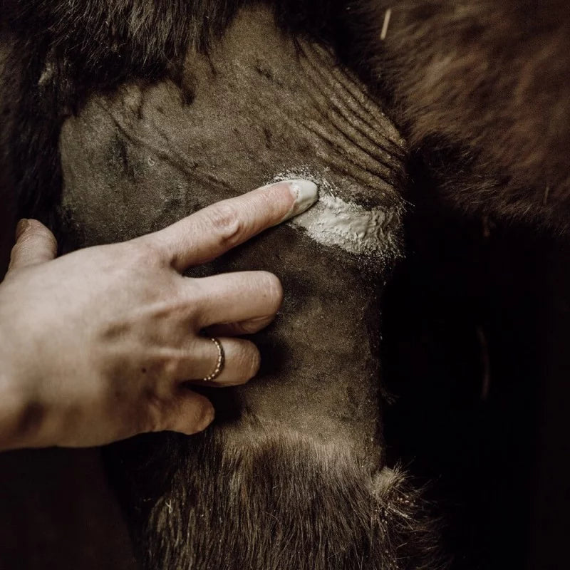 Healing Poultice — alternate view