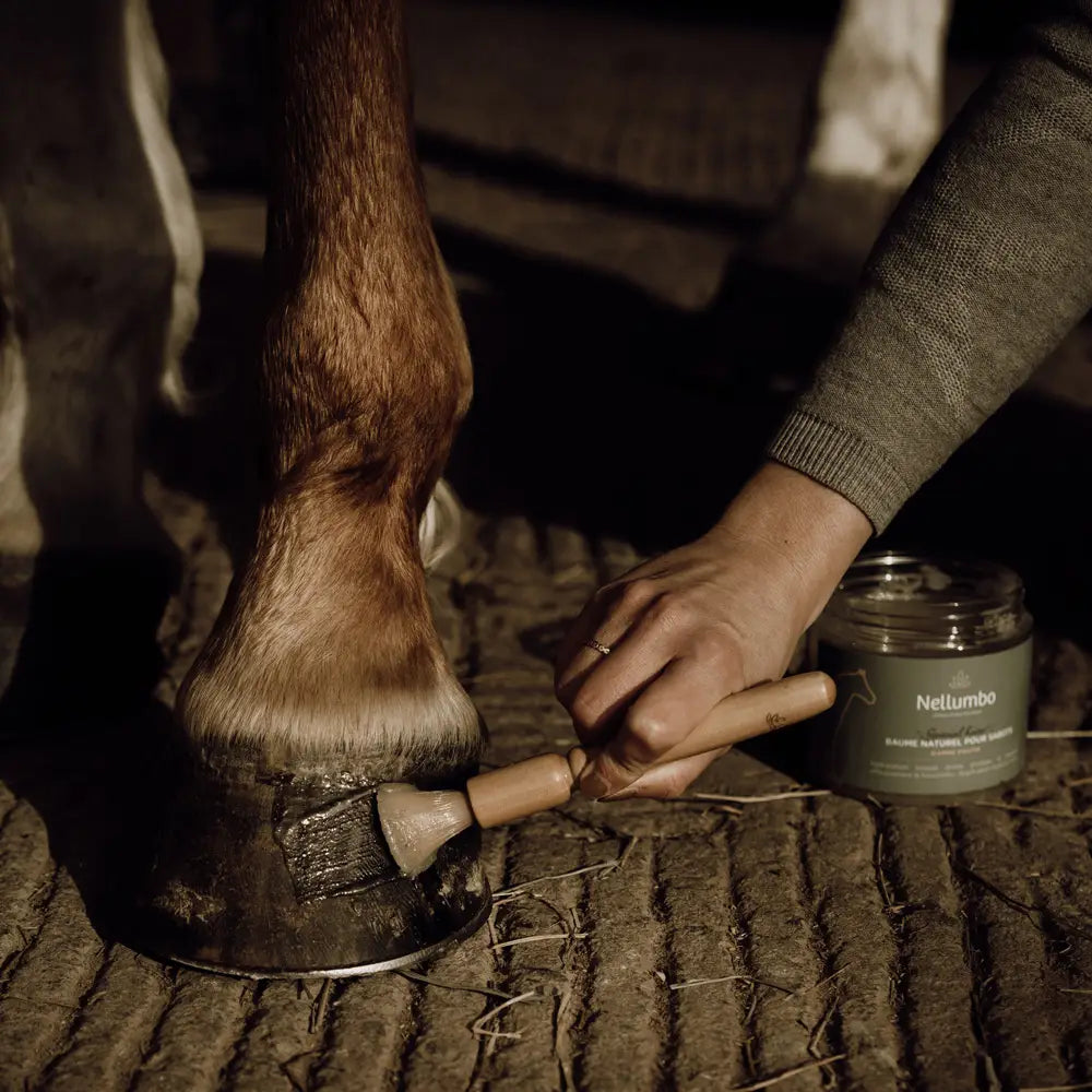 Brush Ointment Hoof Balm — detail view 1