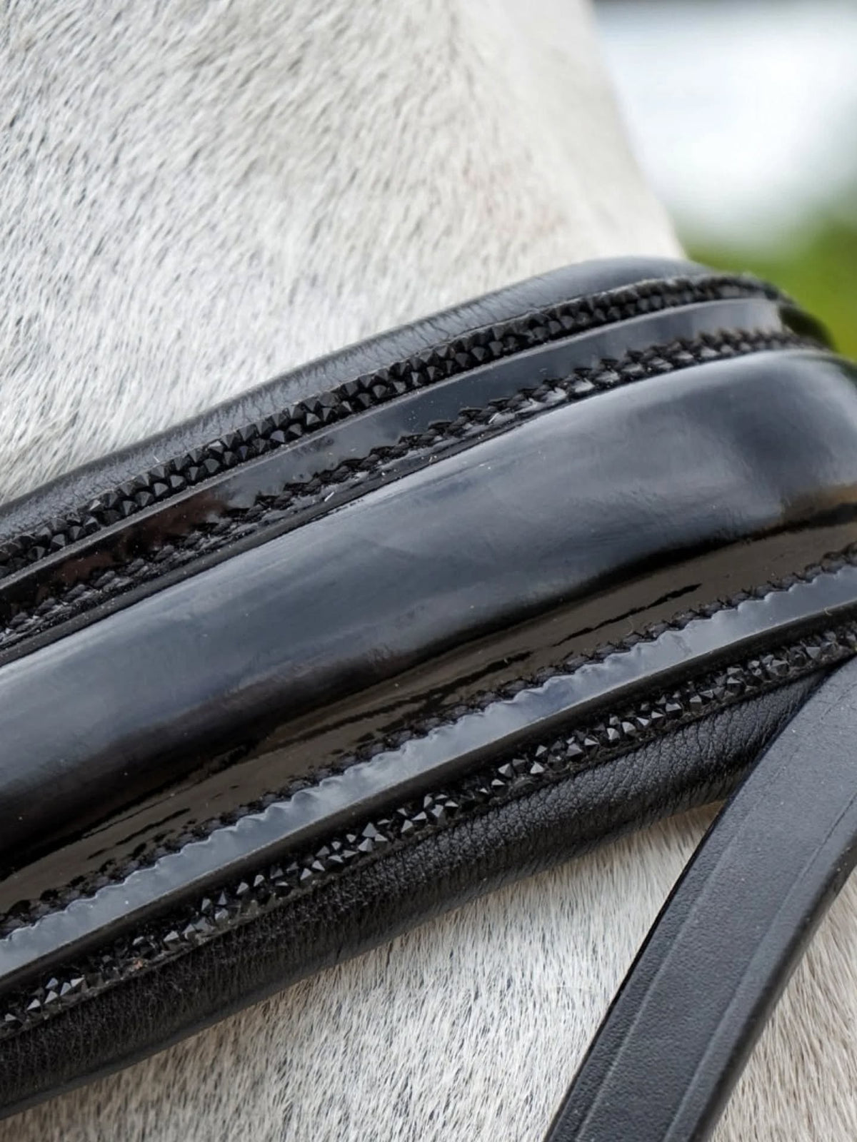 EquineTails Dressage Set — Bridle & Reins — alternate view