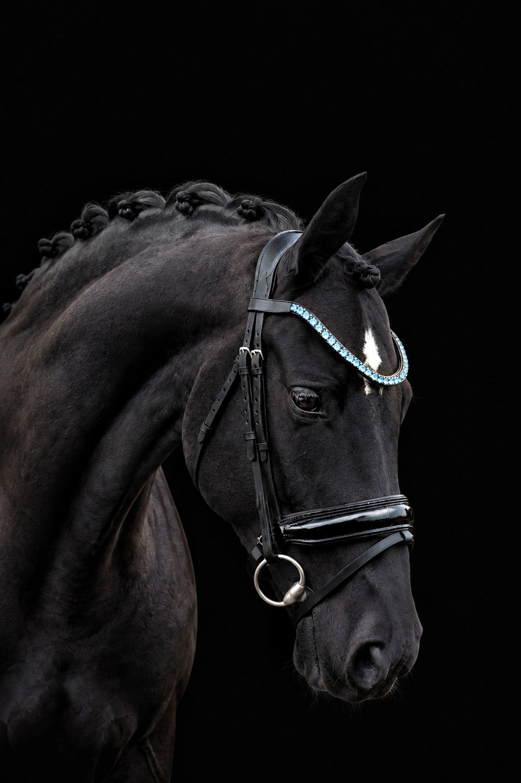 EquineTails Dressage Set — Light Blue bridle with black reins