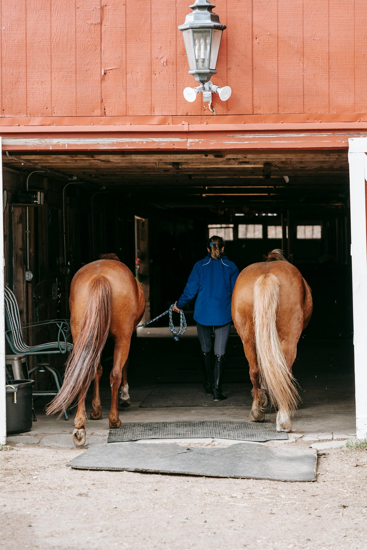 What Judges Really Look at When They Watch Your Horse's Tail