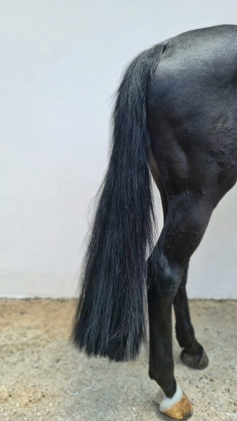 How to Attach a Horse Tail Extension: Braided Loop vs Leather Top