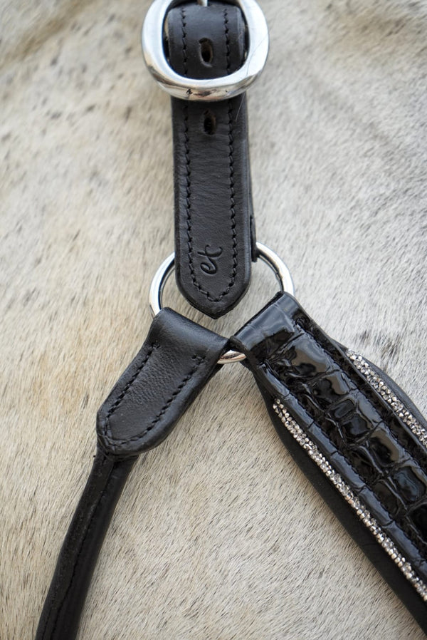 EquineTails Leather Halter — detail view 2