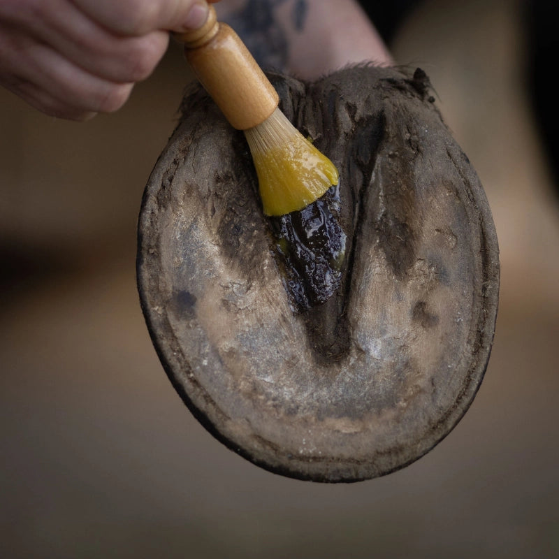 Hoof Care Balm — alternate view
