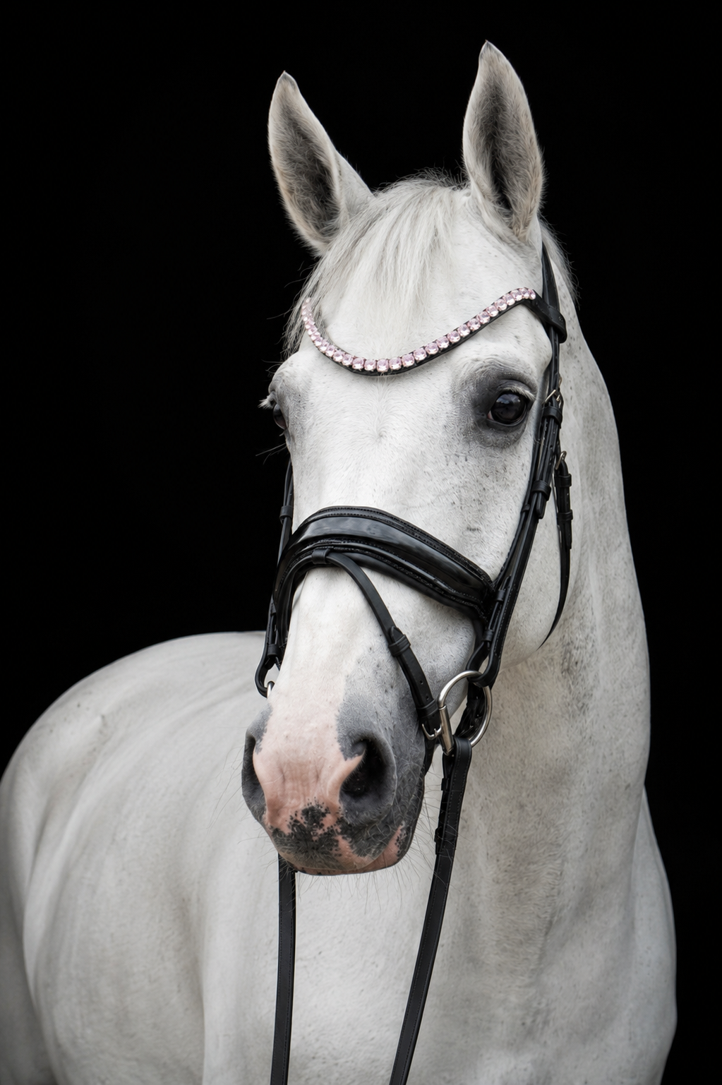 EquineTails Dressage Set — Bridle & Reins — product view