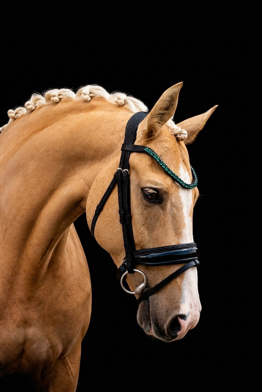 EquineTails Dressage Set — Emerald bridle with black reins