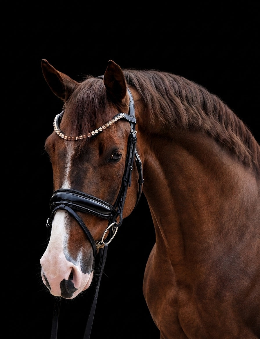 EquineTails Dressage Set — Honey bridle with black reins