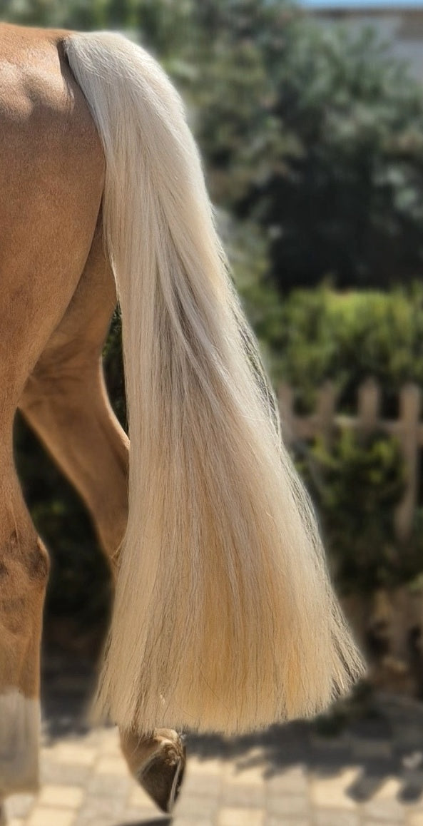 Palomino Horse Tail Extension — product view