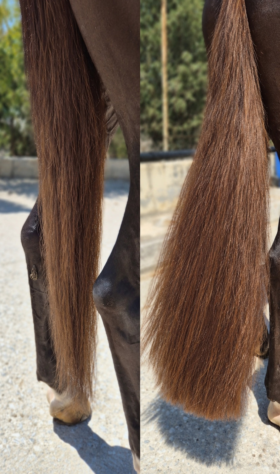Light Chestnut Horse Tail Extension — Fairytail Extension by Equine Tails