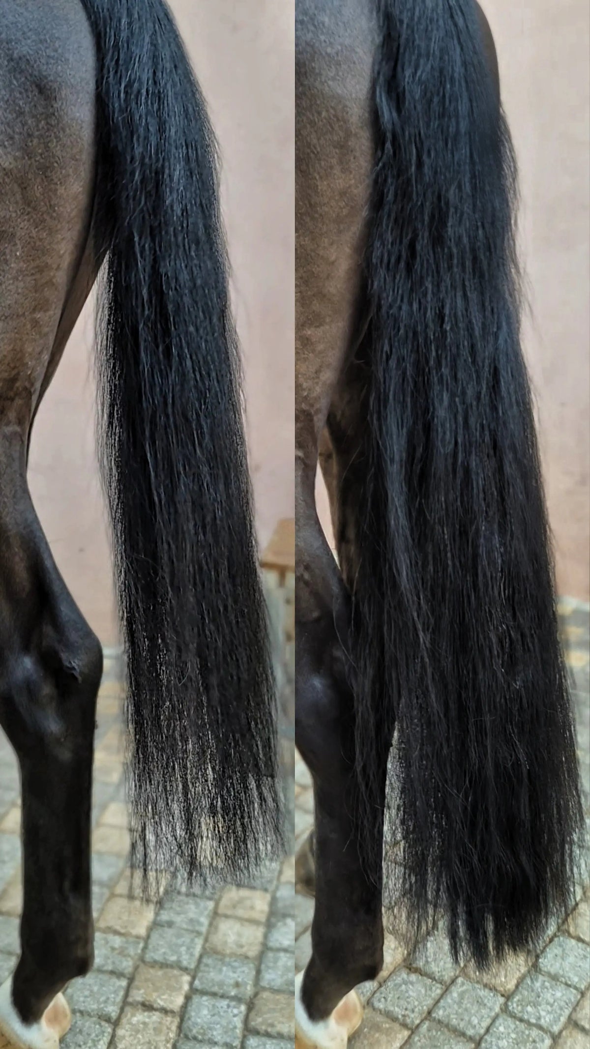 Total Black Horse Tail Extension — Fairytail Extension by Equine Tails